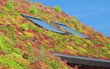 Stanton Lacy living roof systems