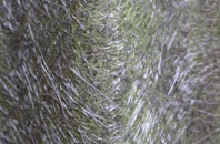 Stanton Lacy fibreglass roof work